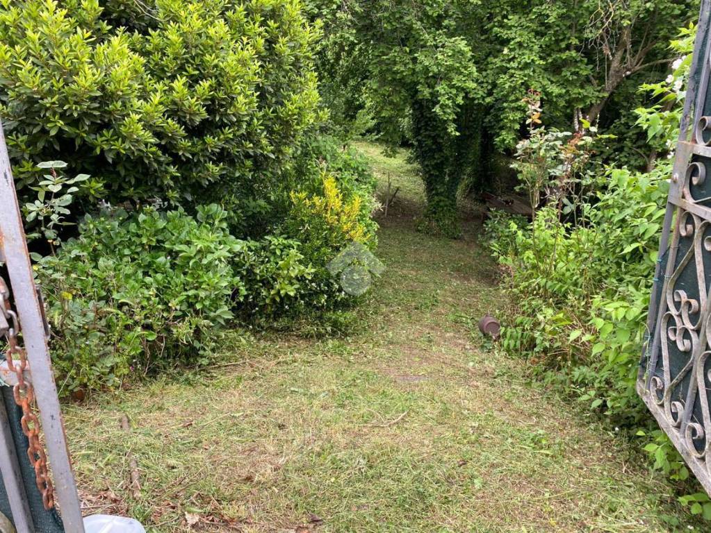 immagine annuncio 11 di 14