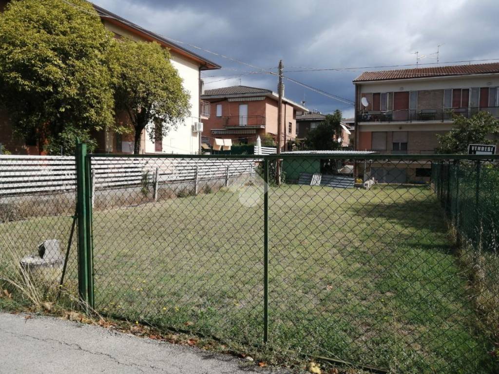 immagine annuncio 5 di 11