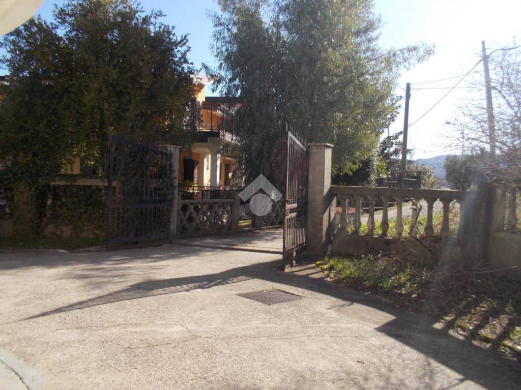 immagine annuncio 3 di 11