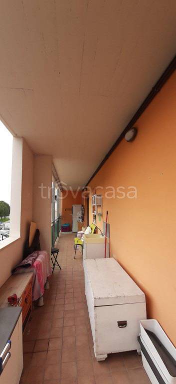 immagine annuncio 11 di 14