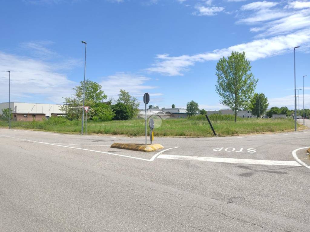 immagine annuncio 2 di 8