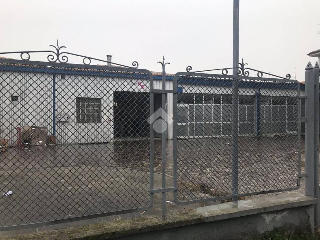immagine annuncio 2 di 13