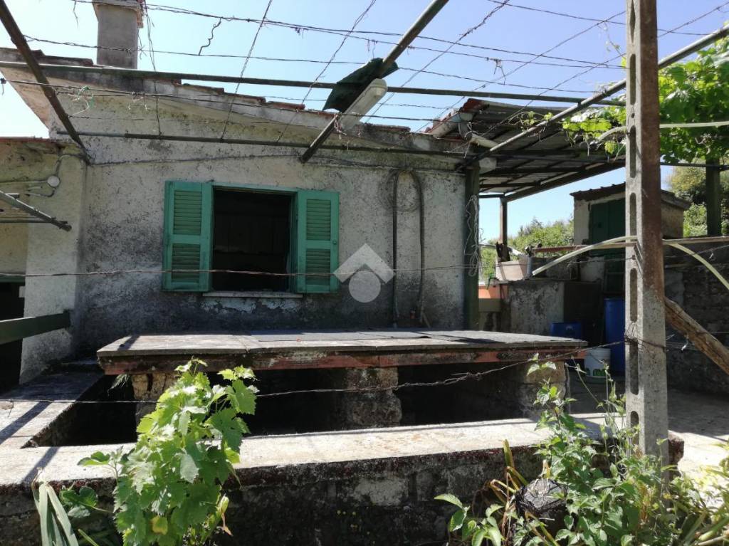 immagine annuncio 5 di 14