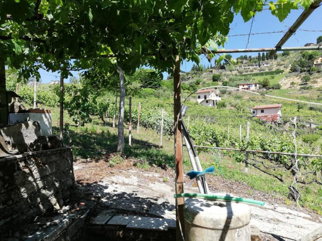 immagine annuncio 7 di 14