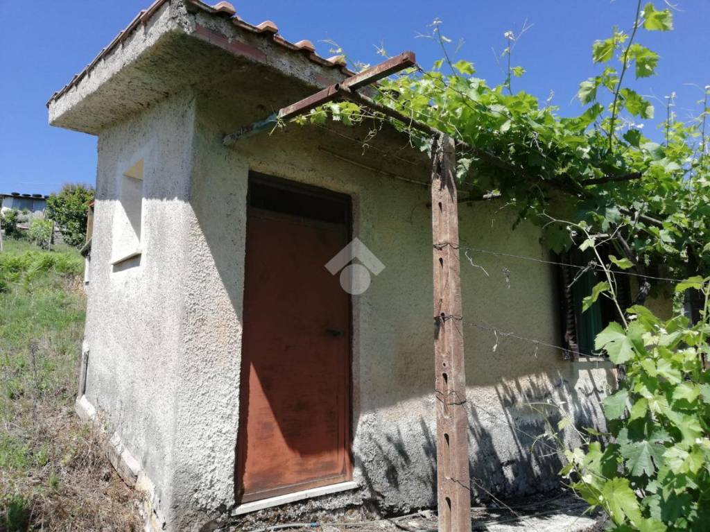 immagine annuncio 9 di 14