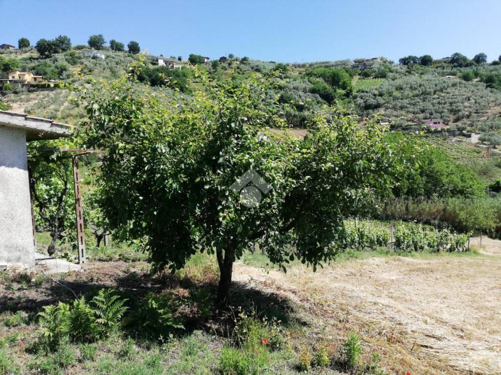 immagine annuncio 10 di 14