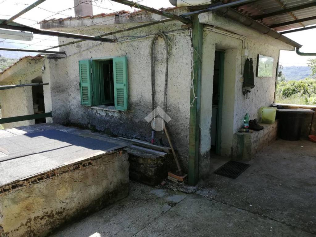 immagine annuncio 11 di 14