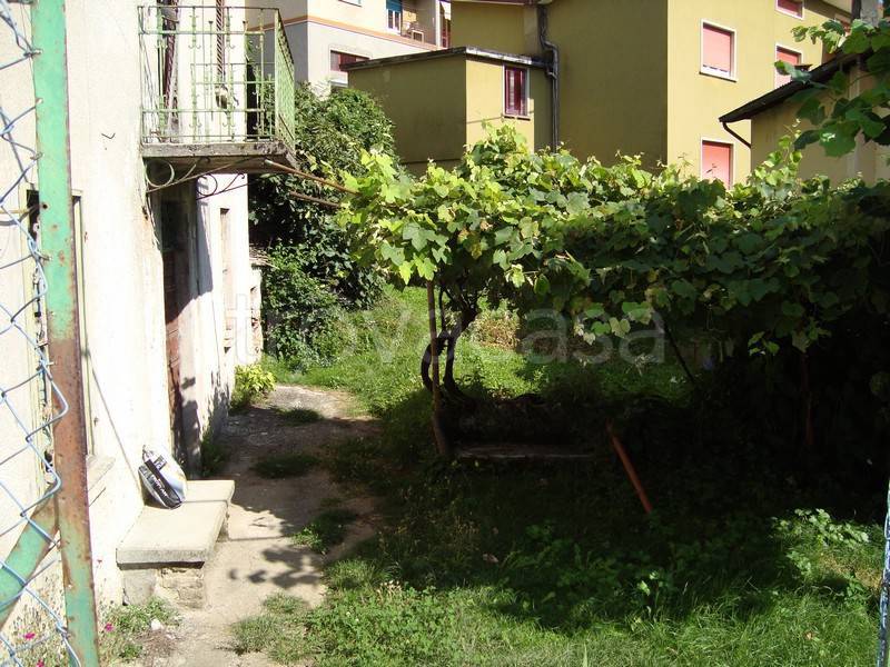 immagine annuncio 8 di 14