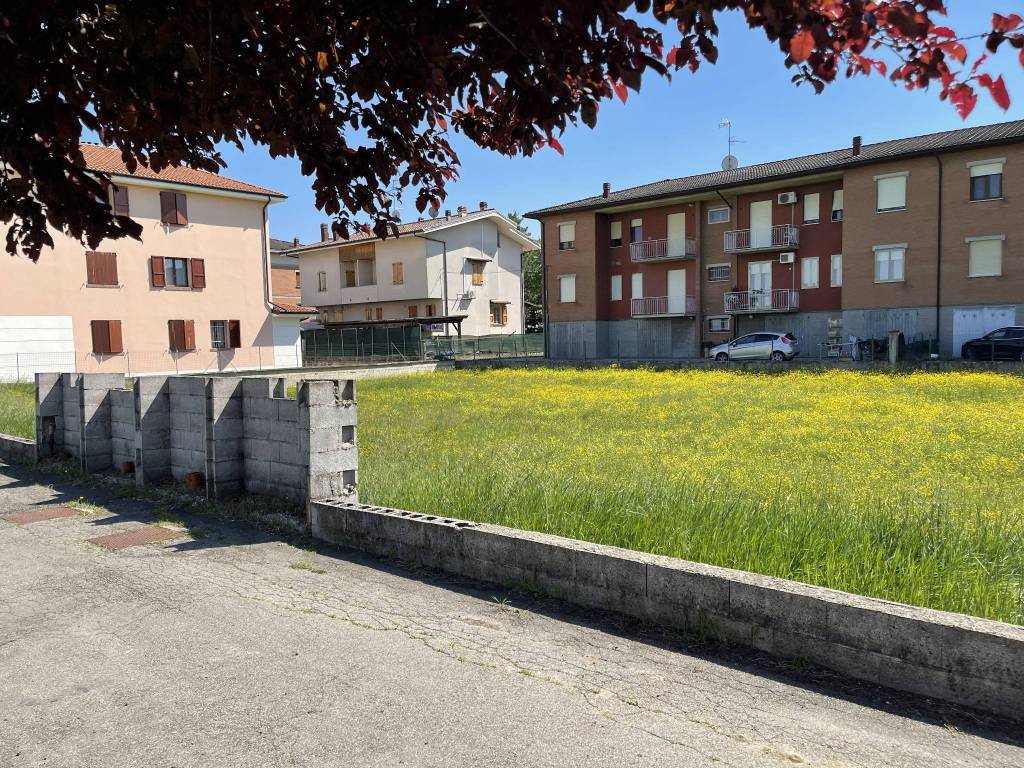 immagine annuncio 2 di 11