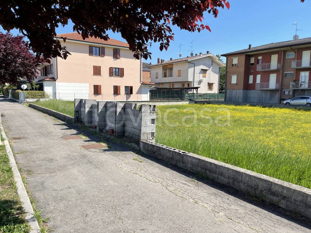 immagine annuncio 3 di 11