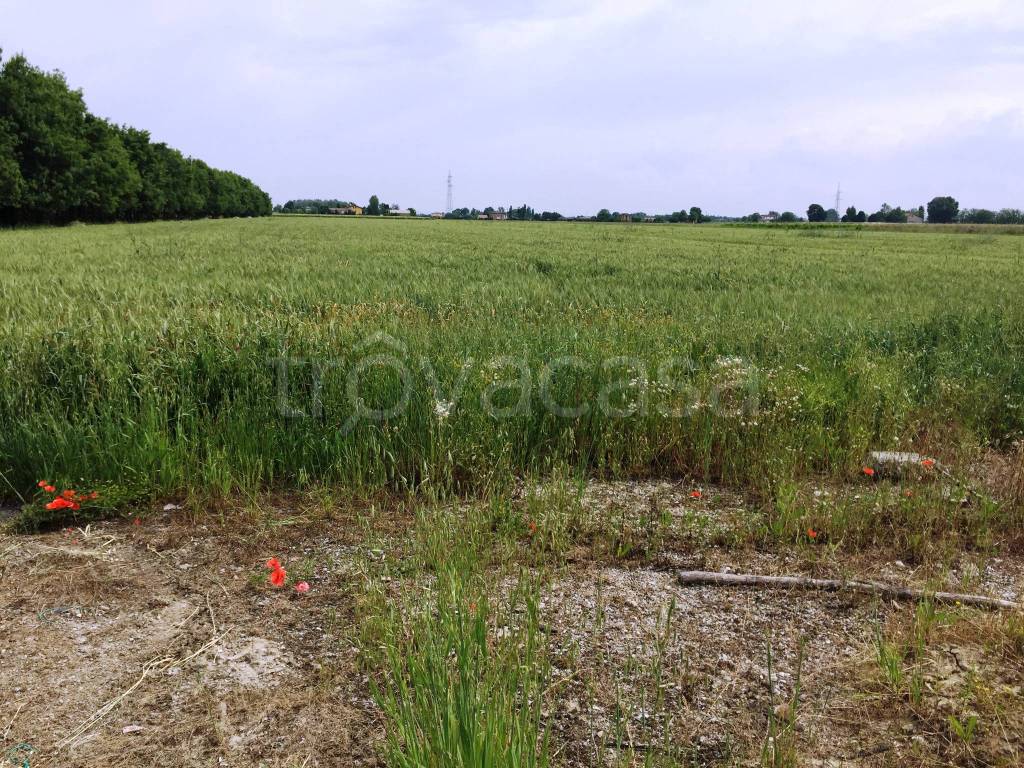Terreno Agricolo in vendita a Soliera via Carpi Ravarino, 613