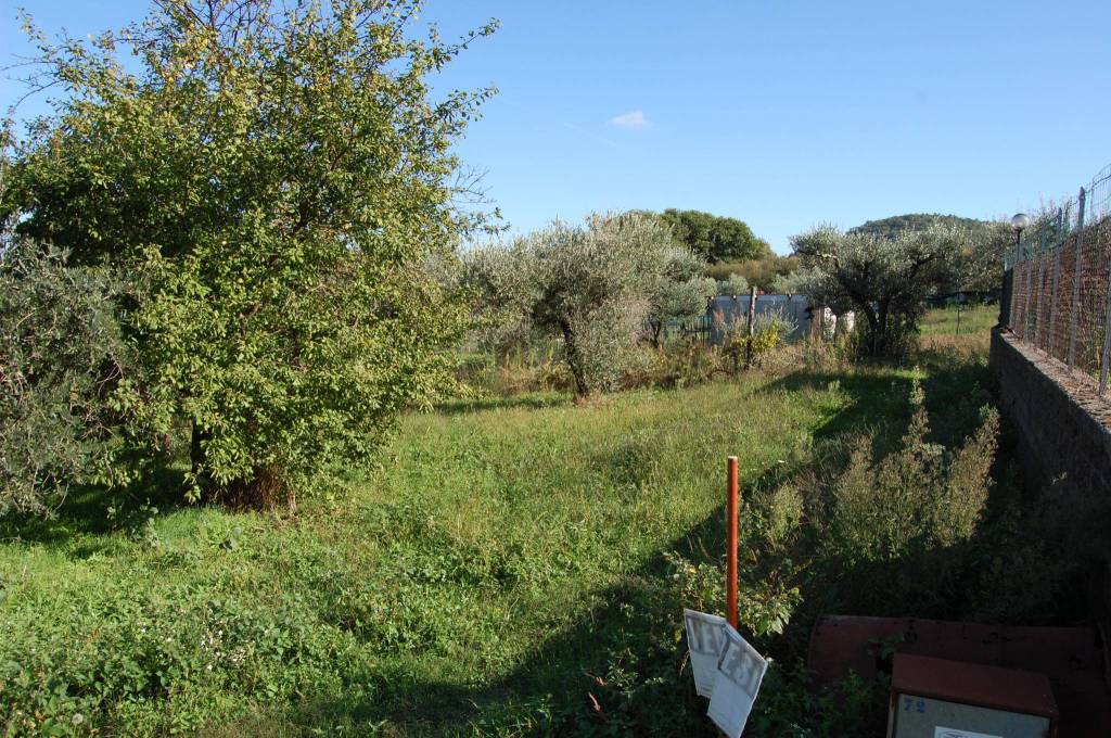 Terreno Agricolo in vendita a Rocca Priora via Calcara Muratella