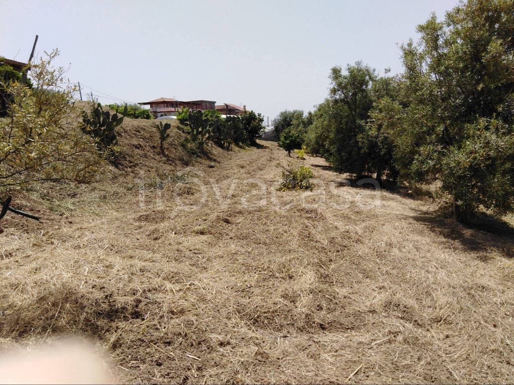 Terreno Agricolo in vendita a Taormina via Bruderi, 40