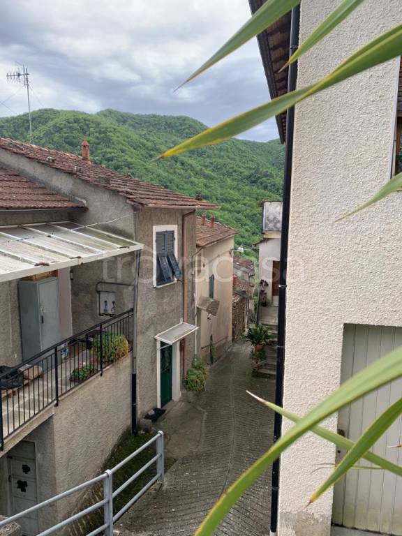 Appartamento in in vendita da privato a Casanova Lerrone frazione Bassanico, 62