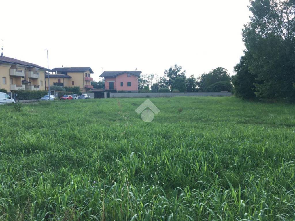 immagine annuncio 3 di 8