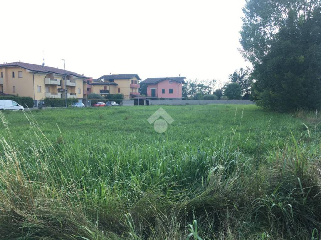 immagine annuncio 6 di 8
