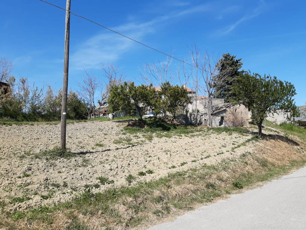 immagine annuncio 7 di 12