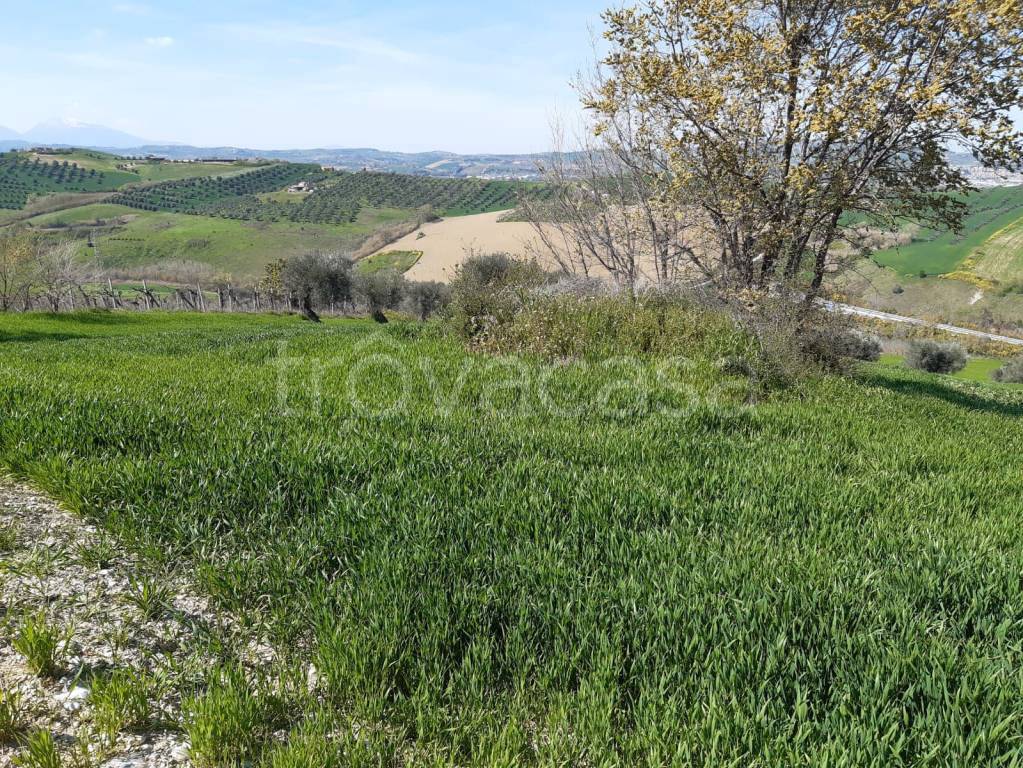 immagine annuncio 2 di 12