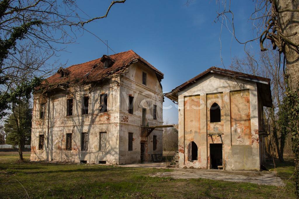 immagine annuncio 6 di 15