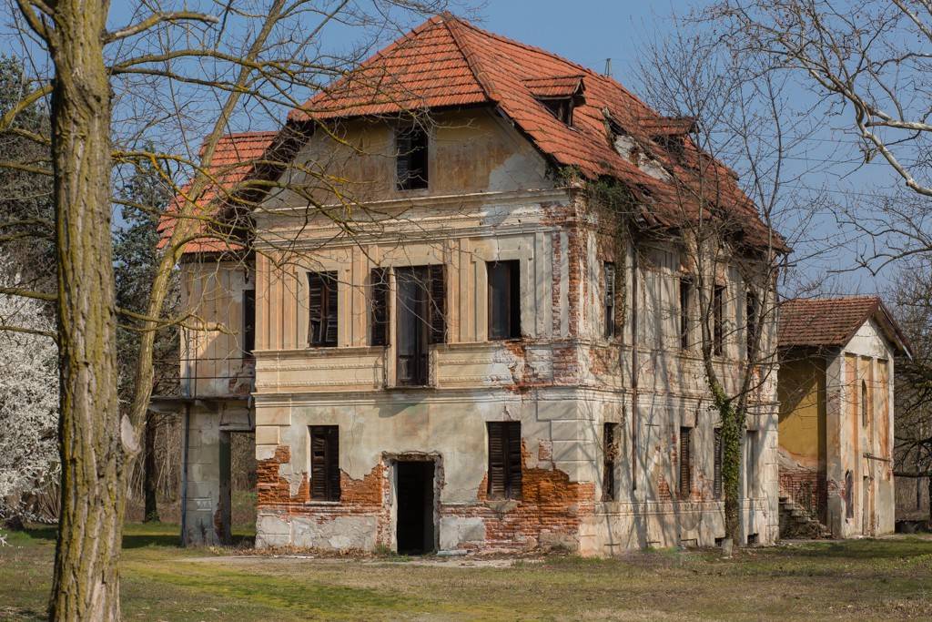 immagine annuncio 9 di 15