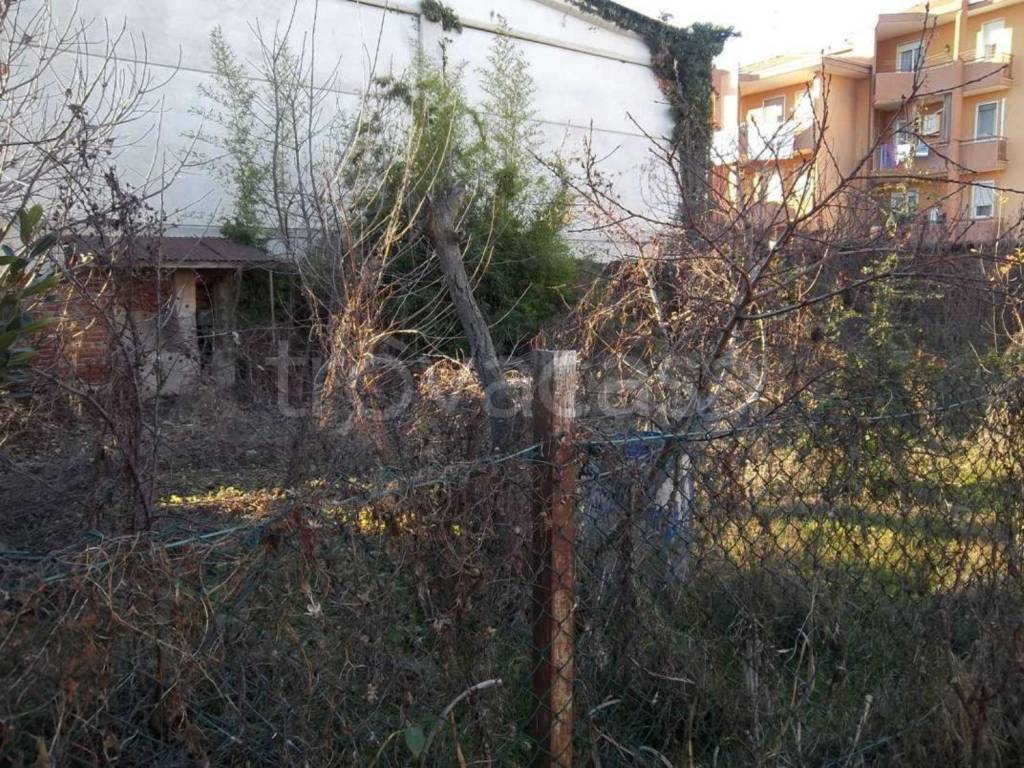 immagine annuncio 10 di 14