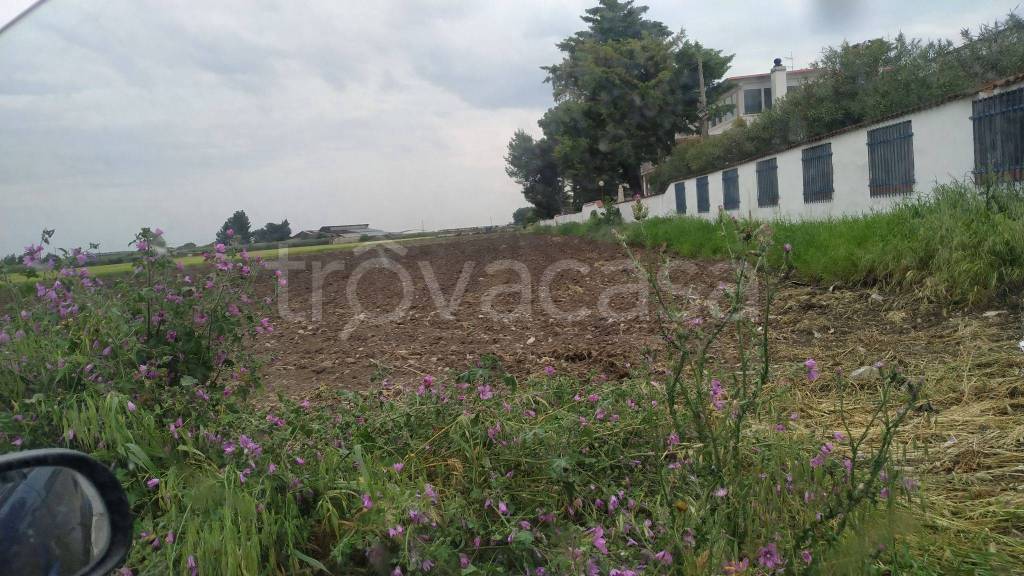 Terreno Agricolo in vendita a Foggia tratturo Camporeale
