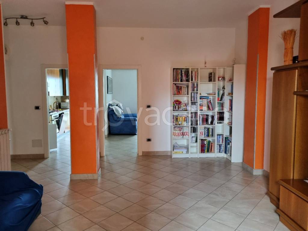 immagine annuncio 5 di 15