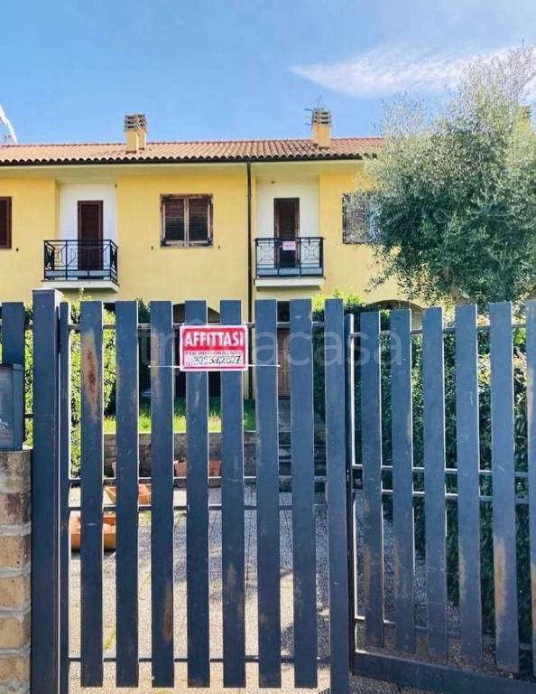 Villa a Schiera in in affitto da privato a Montalto di Castro via della Marzola, 25