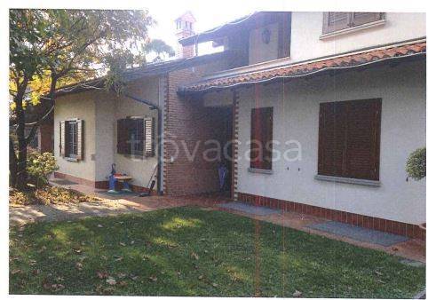 immagine annuncio 12 di 13