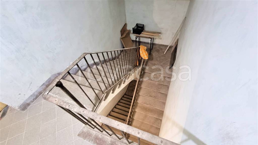 immagine annuncio 9 di 14