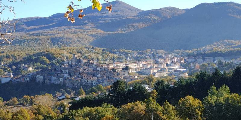 immagine annuncio 9 di 14