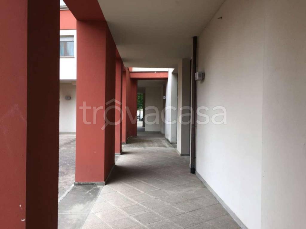 immagine annuncio 11 di 13