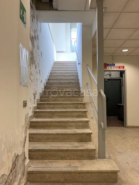 immagine annuncio 7 di 14