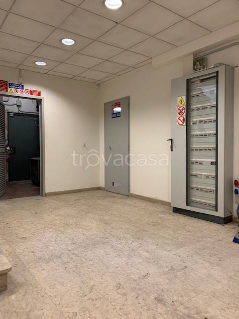 immagine annuncio 9 di 14