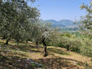 Terreno agricolo in vendita a sant'agata de' goti c/da paolini