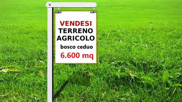 Terreno Agricolo in vendita a Magnago