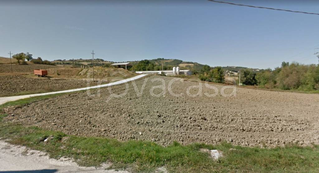 immagine annuncio 2 di 6