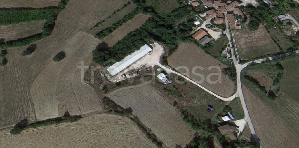 immagine annuncio 4 di 6