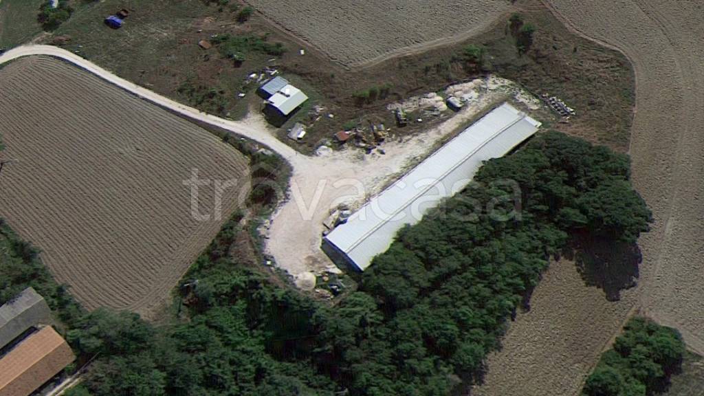 immagine annuncio 3 di 6