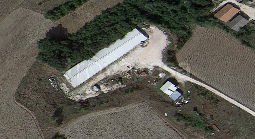 immagine annuncio 1 di 6