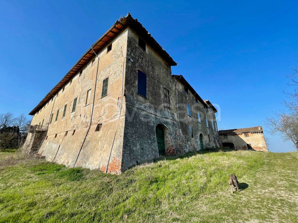 immagine annuncio 1 di 15