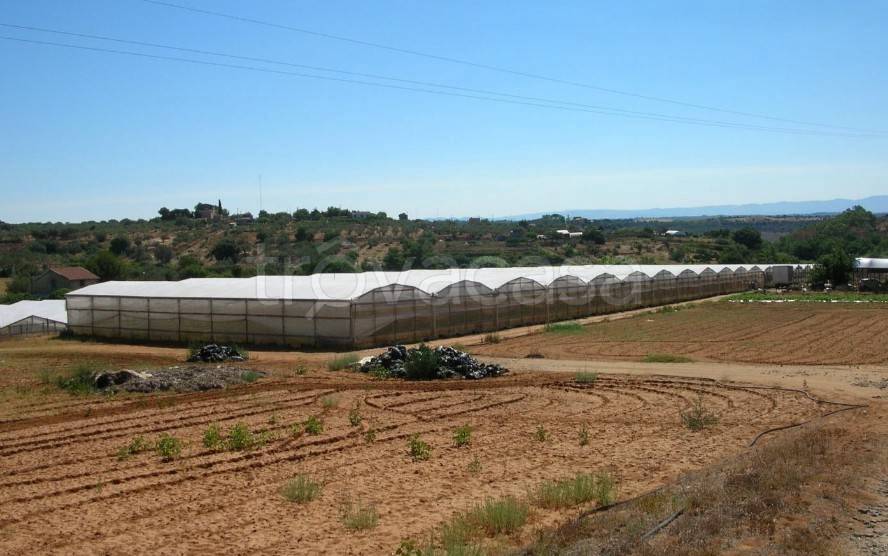 Terreno Agricolo in vendita a Niscemi valle Niglio