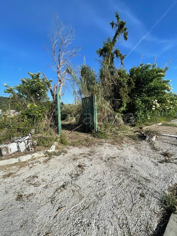 immagine annuncio 12 di 13