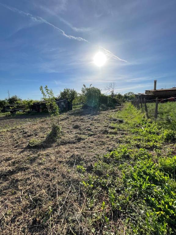 immagine annuncio 4 di 13