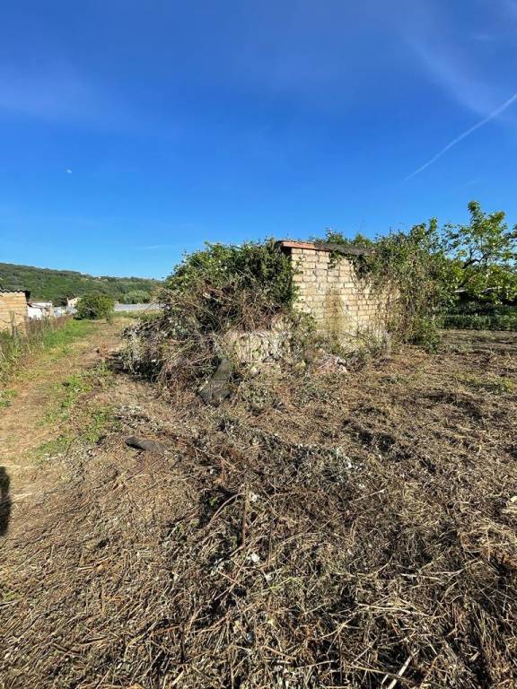 immagine annuncio 6 di 13