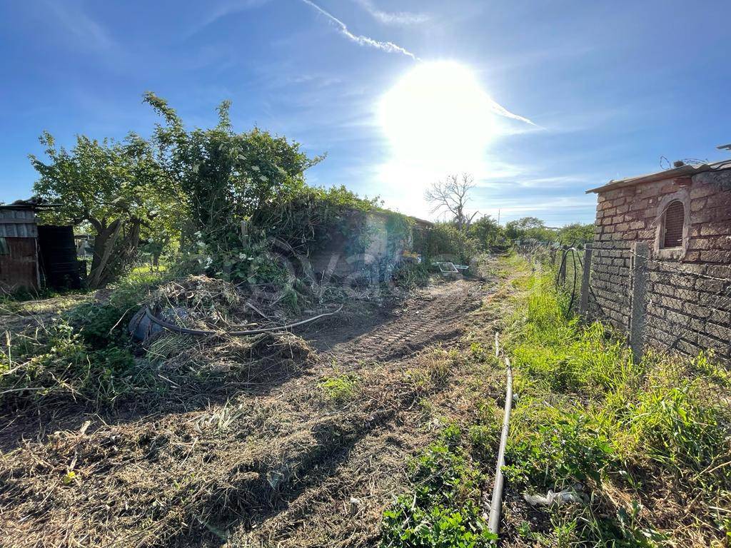 immagine annuncio 7 di 13