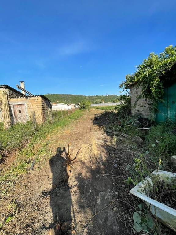 immagine annuncio 8 di 13