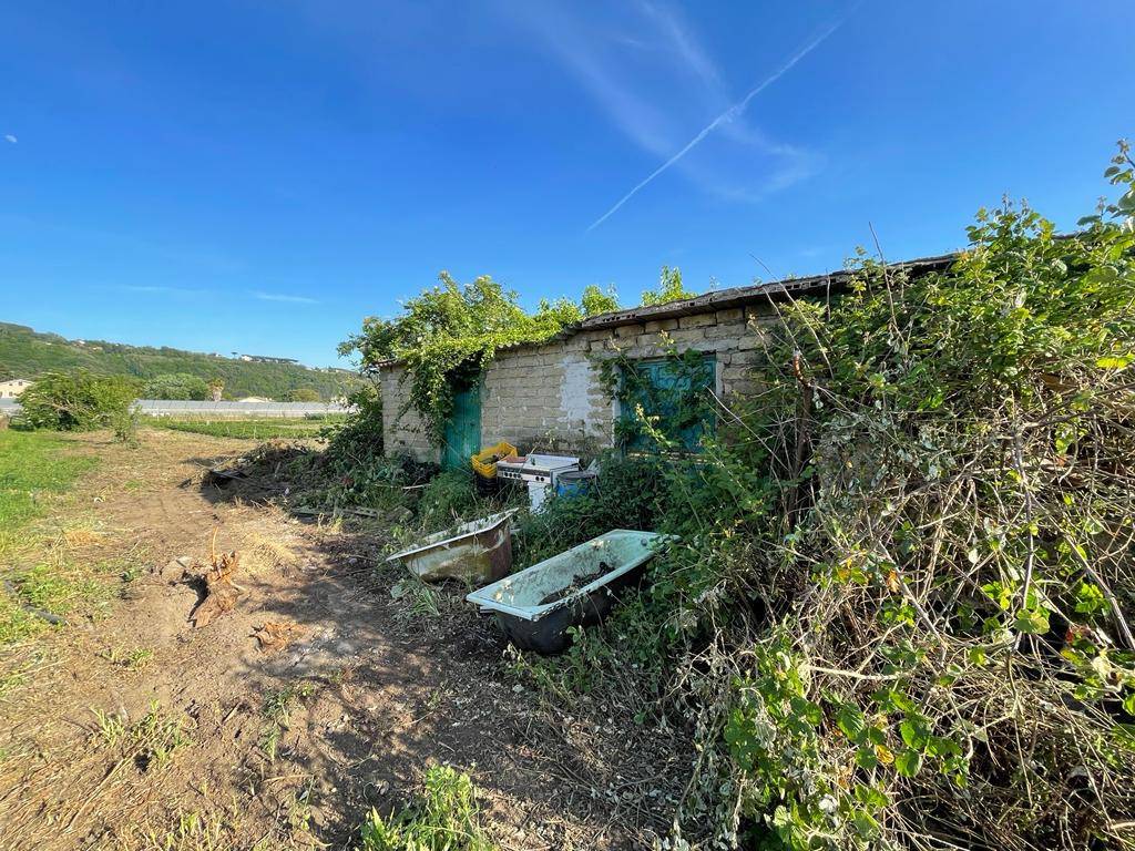 immagine annuncio 9 di 13