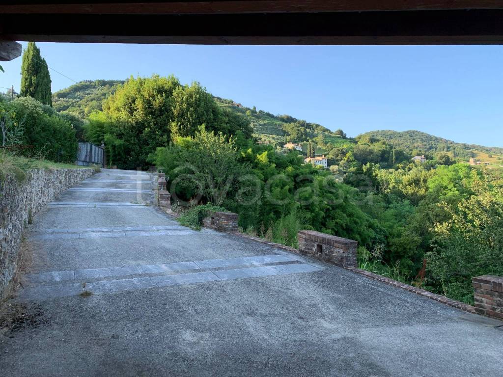 immagine annuncio 7 di 14