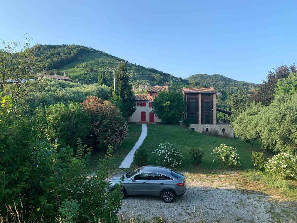 immagine annuncio 9 di 14